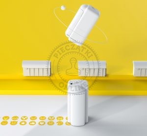 mini-drukarka-reczna-everbot-printpods